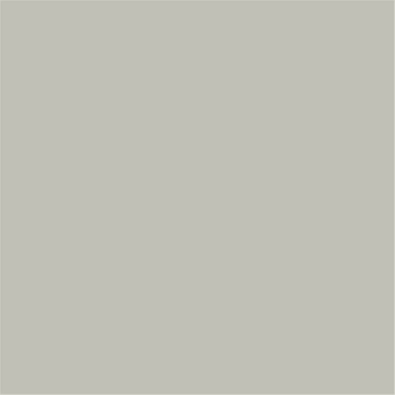 Colorama Fond Platinium 2,72 X 11m