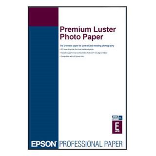Epson Papier Photo Premium Lustré Rlx 44\" x 30,5m 260g
