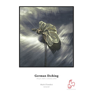 Hahnemühle