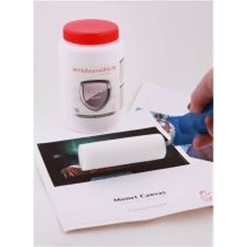 Hahnemühle Vernis mat 1L