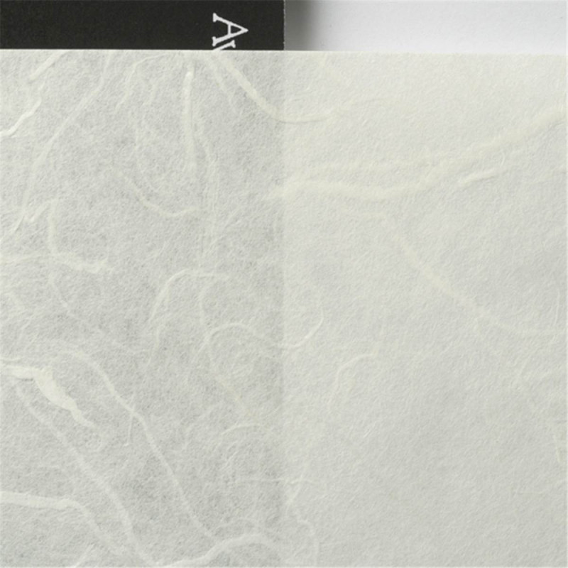 Awagami Papier Unryu Thin 55g A4 20F