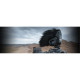 Rode Microphone VideoMic Pro