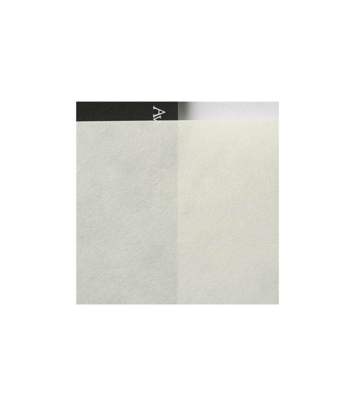 Awagami Papier Murakumo Kozo Select Naturel 42g A3+ 10F