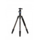 Benro Trépied Kit Travel Angel Serie 2 / 4 sect. Carbone + Ball V1