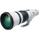 Canon EF 400mm f/2.8 L IS III