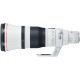 Canon EF 400mm f/2.8 L IS III