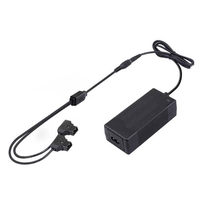 Swit Chargeur Rapide Double D-Tap