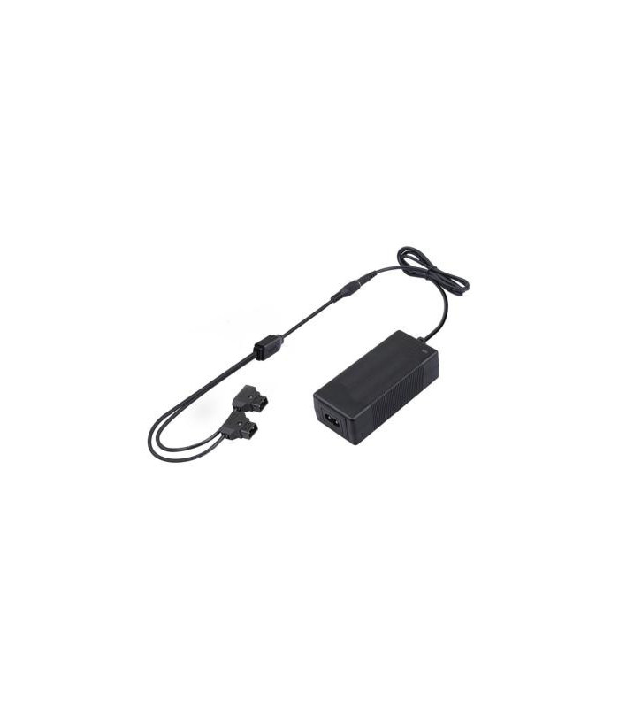Swit Chargeur Rapide Double D-Tap