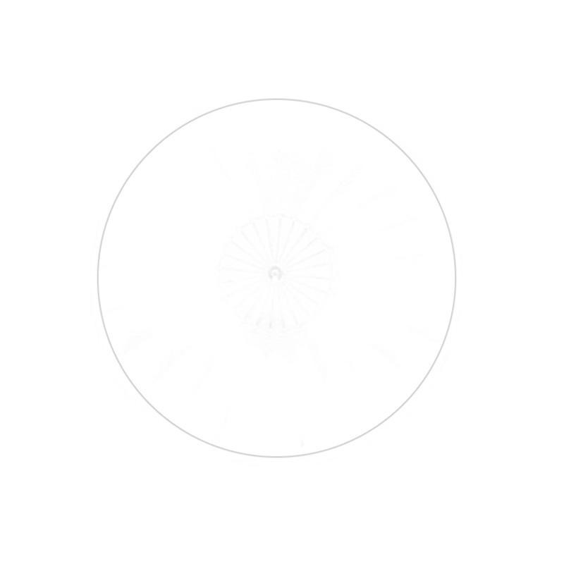 Briese Diffuseur Standard pour Focus 140