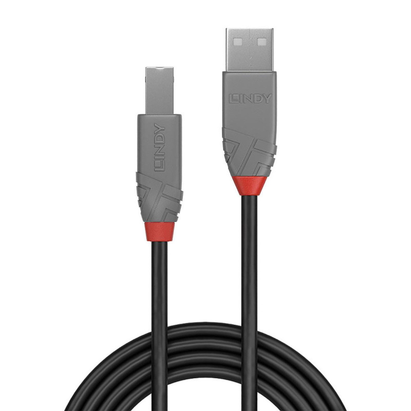 Lindy Câble imprimante USB 2.0 Type A/B 5m