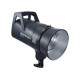 Elinchrom Flash ELC 500 avec Bol 16cm