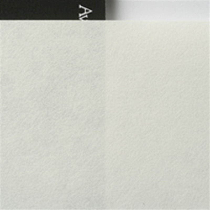 Awagami Papier Kozo Blanc Thin 70g A3+ 10f