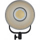Nanlite Torche LED FS-200