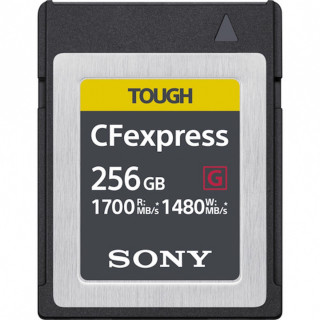 Carte CFExpress