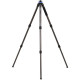 Benro Trépied Mach3 Serie 3 / 3 sections Carbone