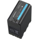 Sony Batterie BP-U70