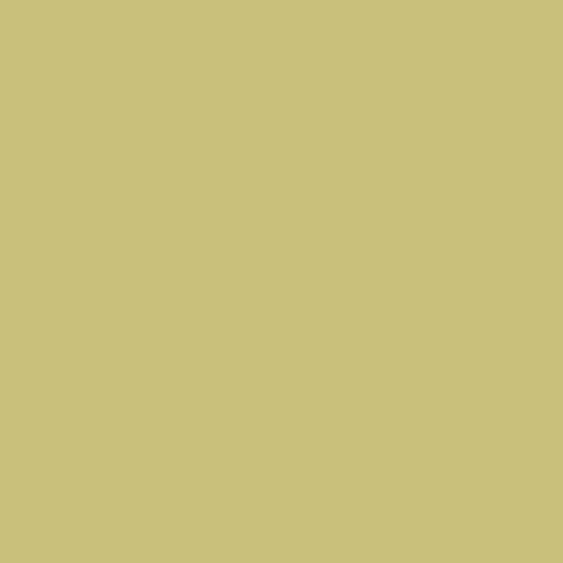 Colorama Fond Fern 2,72 x 11m
