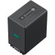 Sony Batterie NP-FV100A