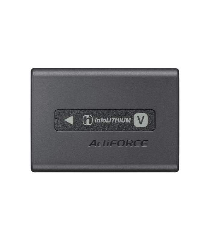 Sony Batterie NP-FV100A