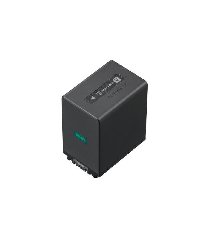 Sony Batterie NP-FV100A