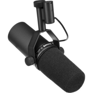 Microphone Voix