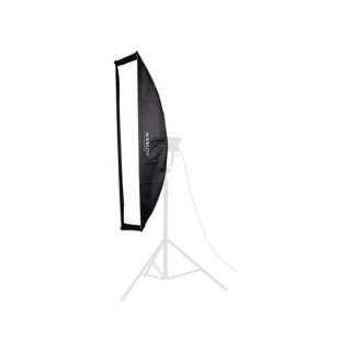 Nanlite