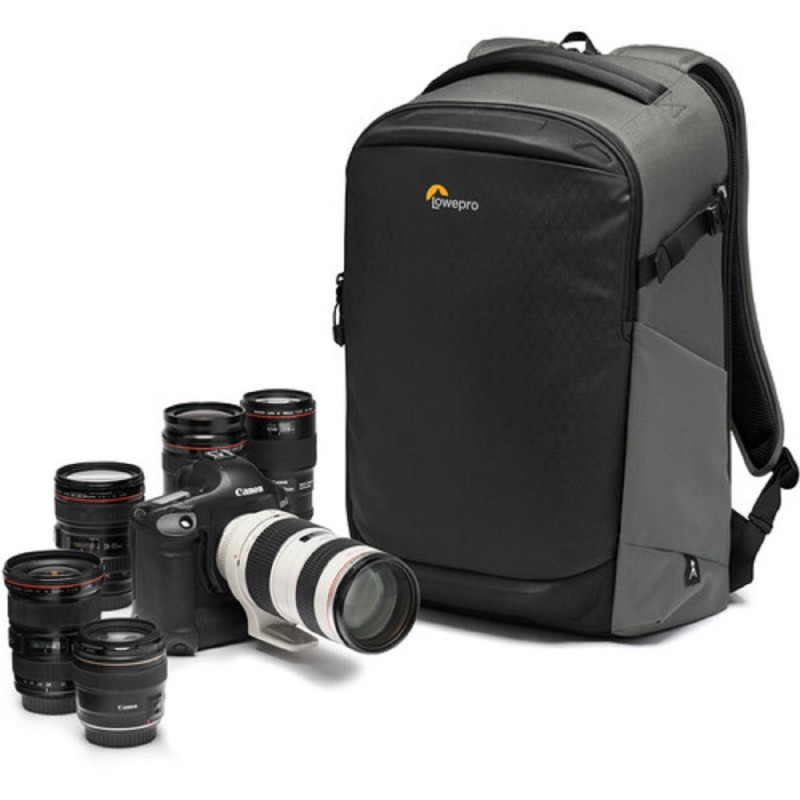 Lowepro Sac à dos Flipside 400 AW III Gris 