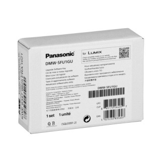 Panasonic