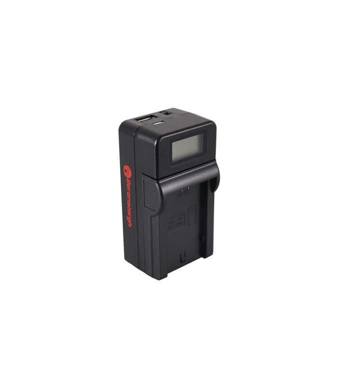 Berenstargh Chargeur USB pour batterie Sony NP-FZ100