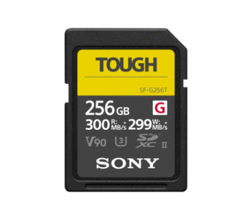 Carte SD