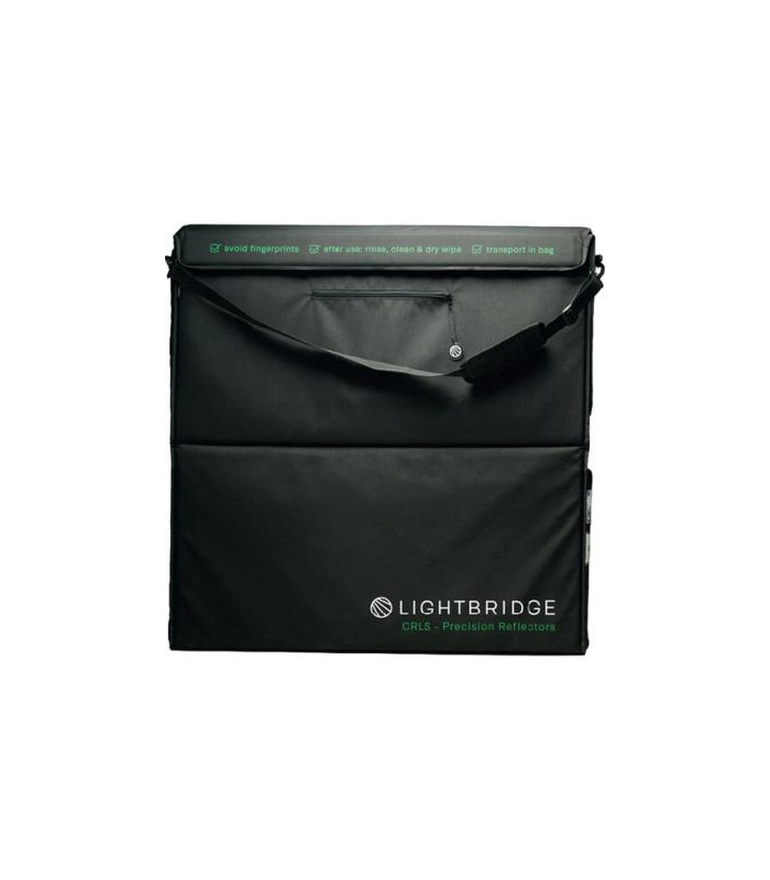 The Light Bridge  Speedbag C-100