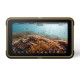 Atomos Moniteur / Enregistreur Ninja