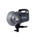 Elinchrom Kit ELC 500 Portrait Studio