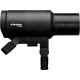 Profoto Flash Pro D3 1250 - Kit Duo - Profoto - Prophot