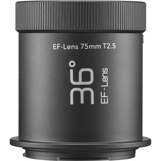 Effets spécifiques