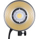 Godox Torche LED SL60II Bi-color - Godox - Prophot
