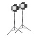 Godox Kit 2 Panneaux Litemons LP600Bi - Noir - Godox - Prophot