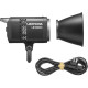 Godox Torche LED Litemons LE300Bi - Black - Godox - Prophot