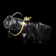 Godox Spotlight BP36K avec Optique 36° pour Monture S - Godox - Prophot