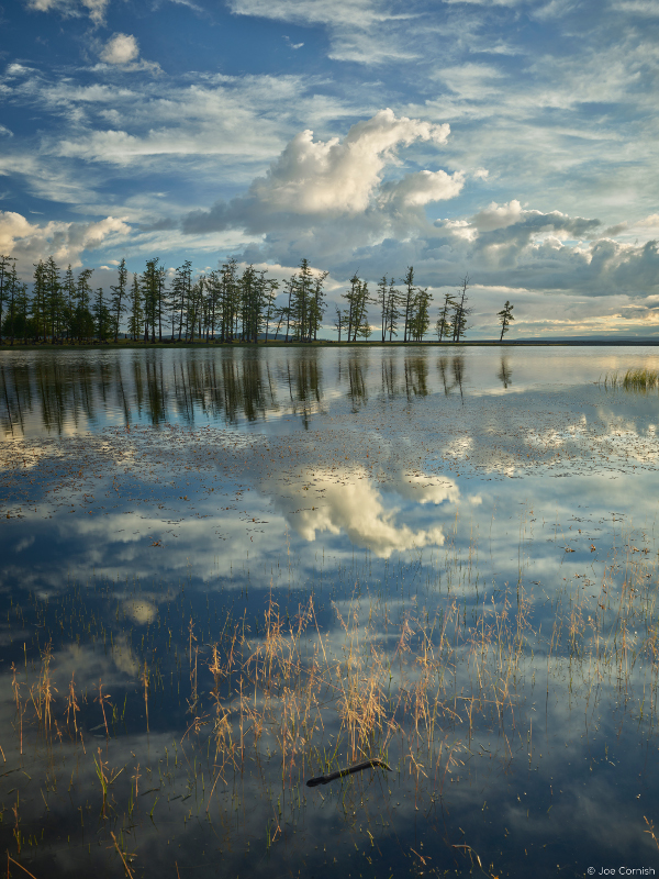 Photographie verticale réalisée avec le dos Phase One IQ3 100MP