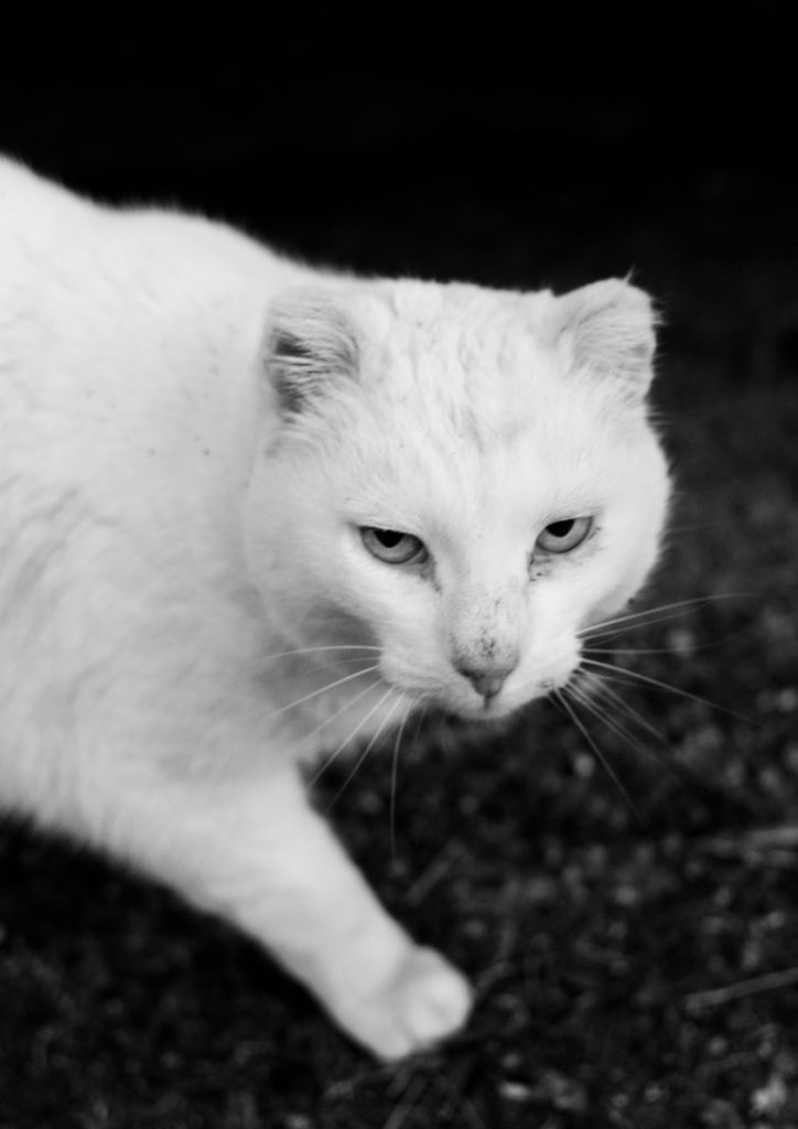 Photographie de territoire par Maïté Baldi pour la série Genesis