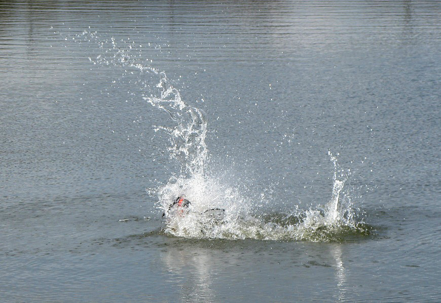 SplashDrone 3 posé sur l’eau pendant une démonstration de sauvetage