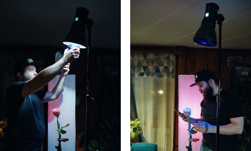 Elinchrom ONE avec dôme coloré et boîte à lumière pour éclairer un arrière-plan
